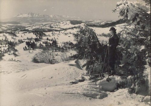 historyczne zdjęcie kobiety stojącej na szczycie jaworzyny na nartach, w tle góry
